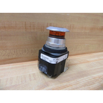 Allen Bradley 800T-FXNP16AA7 Push-Pull Device Illum. - Used