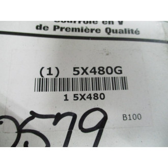 Dayton 5X480G V-Belt B100
