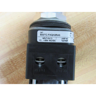 Allen Bradley 800TC-FXQH2RA5 Button W800TC-N374 (2)800TC-XD4 - New No Box