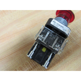 Allen Bradley 800T-FXTQ24RA5 Push Button W(2) 800T-XD4, (1) 800T-Blank