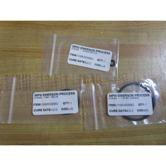Fisher Controls RY600X00032 Repair Kit