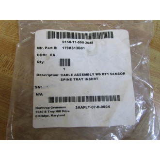 CDS Datacomm 179K613G01 Cable Assembly W6