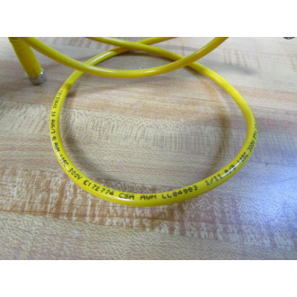 Turck 171K367G06 Cable Assembly W3920 (Pack of 2)