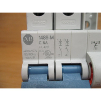 Allen Bradley 1489-M2C060 Circuit Breaker 6AMP W1489-AMRA3 - Used