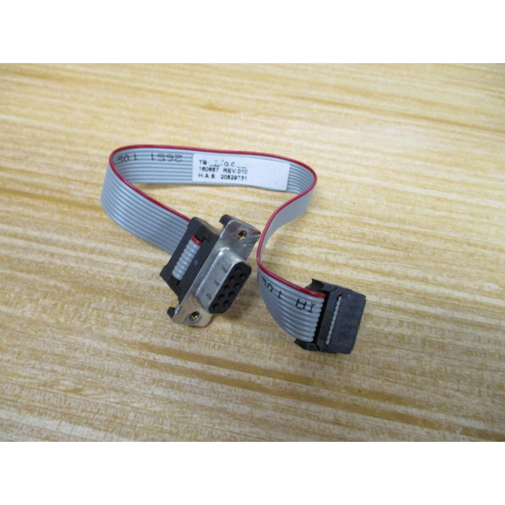 160667 Ribbon Cable - Used