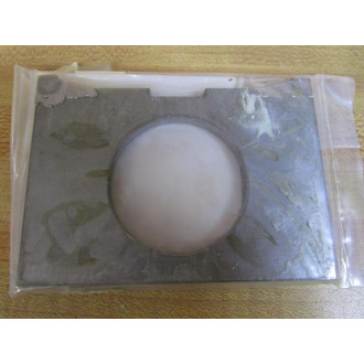 Dresser-Rand 1W76379 Shim (Pack of 2)