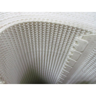 Applied Industrial Tech 350" x 24" Mono RT Custom Belt 4503412920