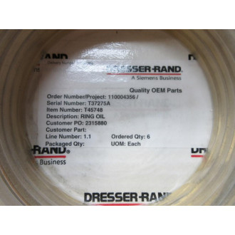 Dresser-Rand T45748 Siemens Oil Ring (Pack of 6)