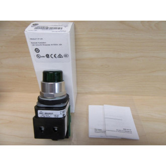 Allen Bradley 800T-QBH2GD1P Push Button Switch