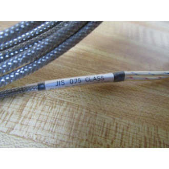 Fuji Electric JIS-0.75 Thermocouple Probe C62097