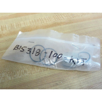 Pressure Products Industries B15318-100-KIT PPI Orifice Valve Kit - Used