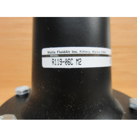 Watts R119-06C M2 Regulator R11906CM2 W 2 Gauges