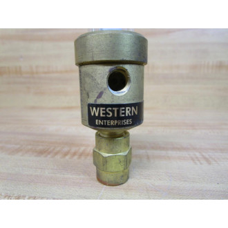 Western Enterprises M125870-0700009 Pressure Compensated Flowmeter - Used
