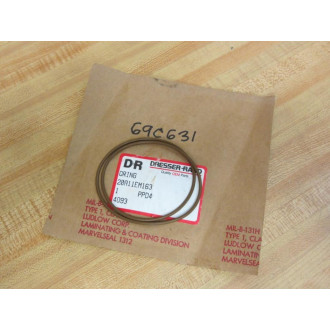 Dresser-Rand 20A11EM163 O-Ring