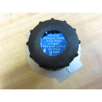 Watts R10-02 Air Regulator R1002 - New No Box
