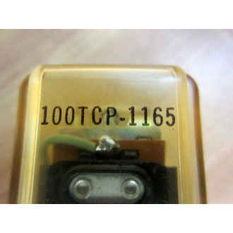 Deltrol Controls 100TCP-1165 Relay 100TCP1165 - New No Box
