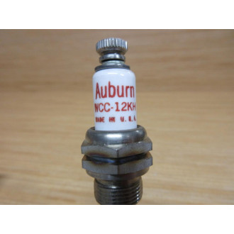 Auburn WCC-12KH Liquid Level Electrode WCC12KH