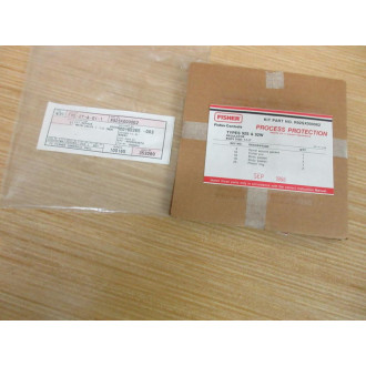 Fisher R92SX000062 Repair Kit