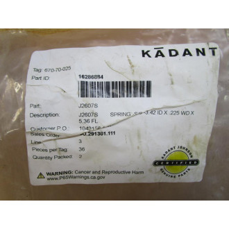 Kadant Johnson J2607S Spring (Pack of 2)