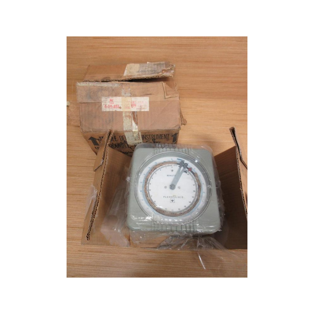 Eagle Signal HG934A5 Flexopulse Timer