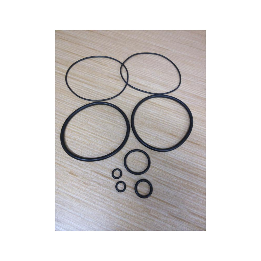 Ramco 29576 O-Ring Set For GTX00 - New No Box