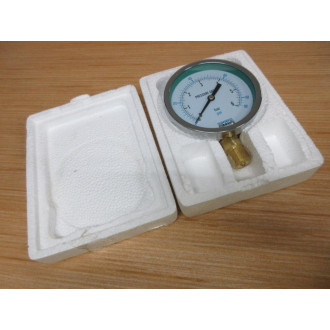 FYHF 0-86 PSI 0-6 Bar EYHE Pressure Gauge