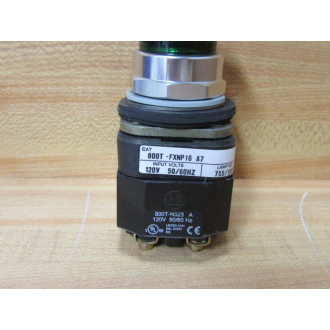 Allen Bradley 800T-FXNP16GA7 Green Button Ser. T