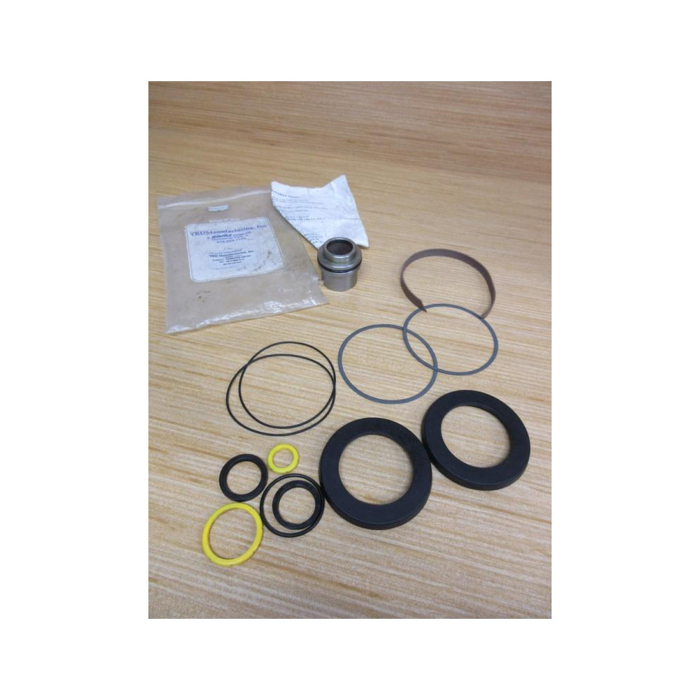 Bimba TDSKU100-325-HC Repair Kit TDSKU100325HC WO Green Lube
