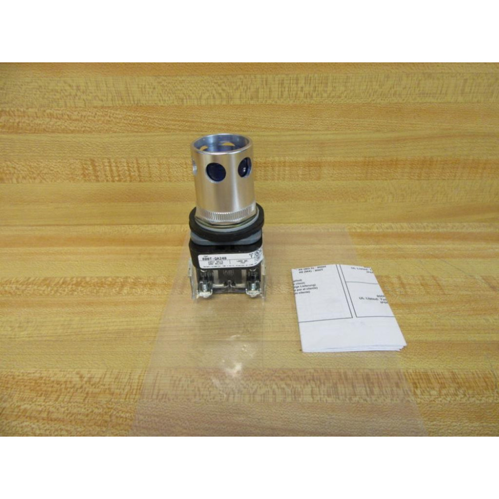 Allen Bradley 800T-QA24B Blue Push Button - New No Box