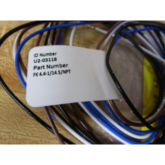 Turck FK 4.4-114.5NPT Eurofast Receptacle U2-03118 (Pack of 2)