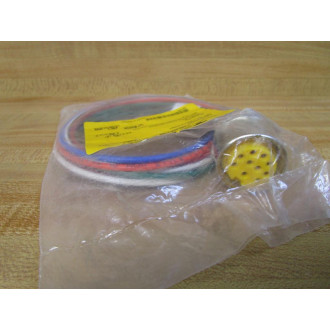 Turck RKF 106-0.5M14.5NPT Minifast Female Receptacle U0987-31