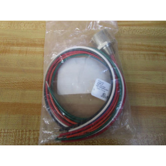 Turck RKF 106-0.5M14.5NPT Minifast Female Receptacle U0987-31