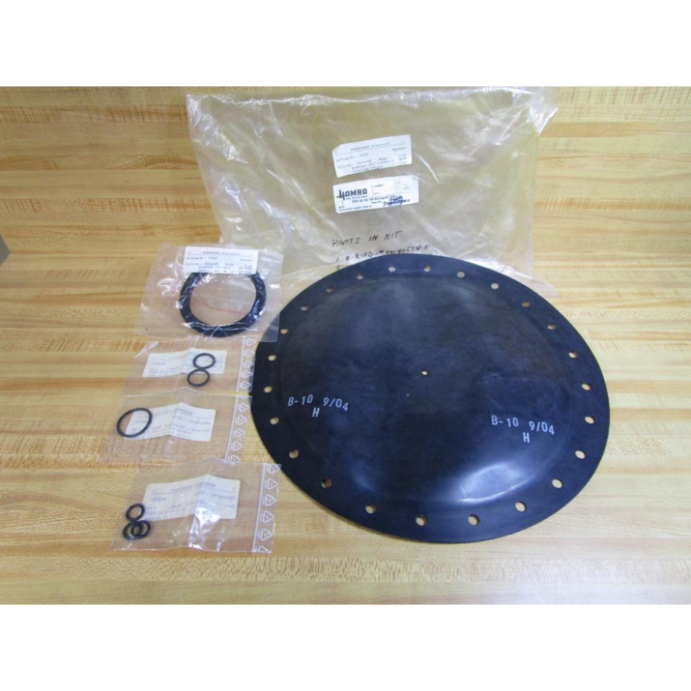 Hamba 656 80 25 TA-N 12" Pressure Regulator Repair Kit 93250