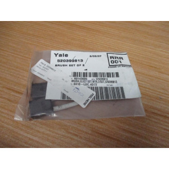 Yale 520399813 Carbon Brush Set Of 2