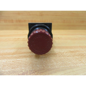 RTi RT-FR250-G FilterRegulator RTFR250G - New No Box