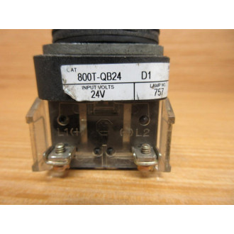 Allen Bradley 800T-QB24W Button 800T-QB24WD1 w800T-XD1 & Blank - Refurbished