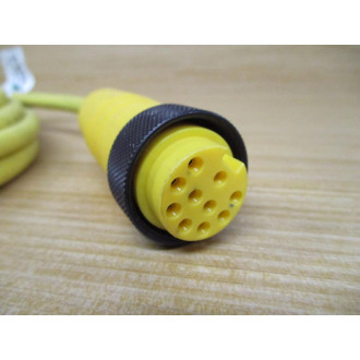 Lumberg RK 100M-65220FT Cordset RK100M65220FT - Used