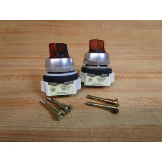 Allen Bradley 800T-24HL5KL8 Selector Switch 800T24HL5KL8 (Pack of 2) - Used
