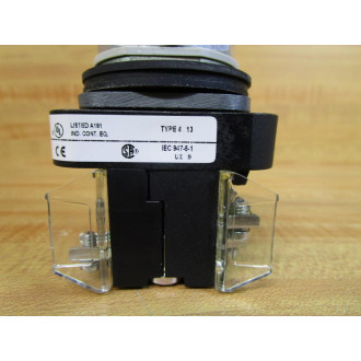 Allen Bradley 800T-FXQ24AA1 Button 800TFXQ24AA1 w800T-XA & 800T-Blank - New No Box