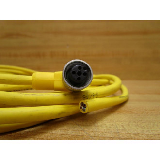 Lumberg RKWT 4-S7984M 4 Meter Female Cordset RKWT4S7984M - New No Box