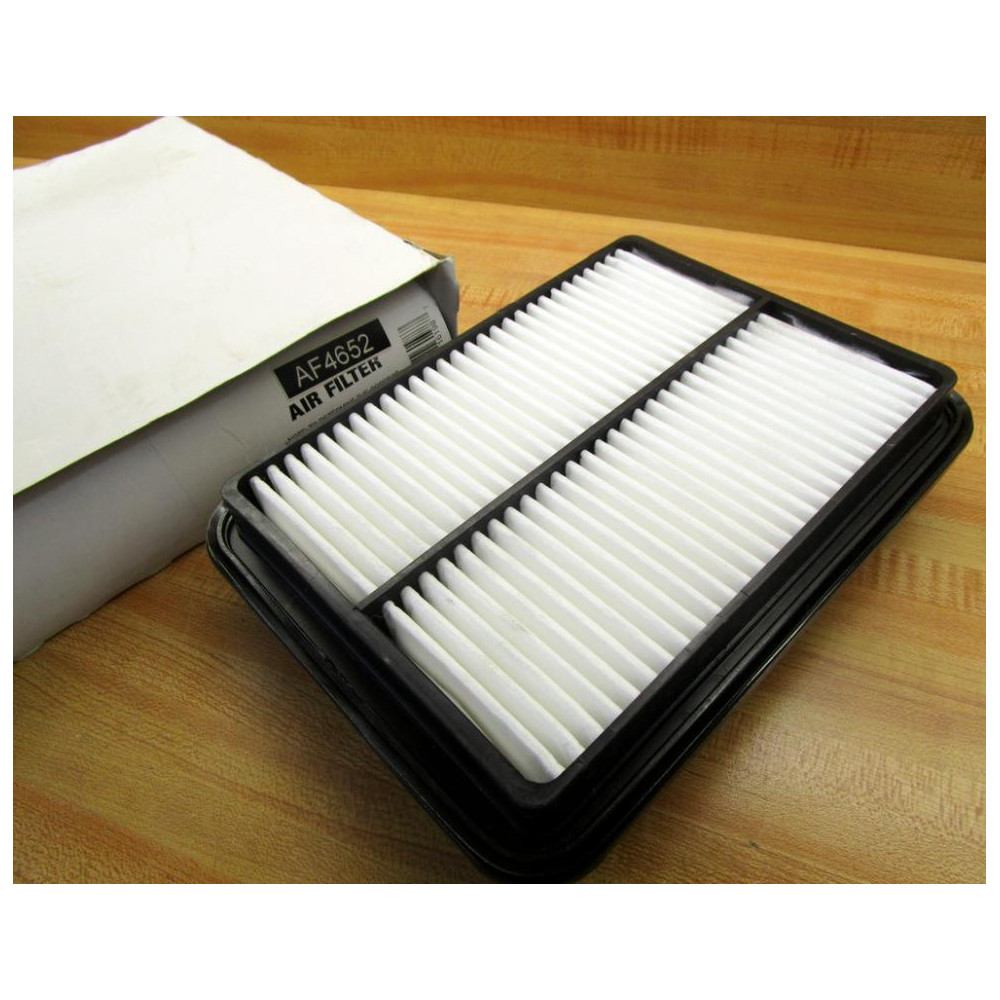 Fleetguard AF4652 Air Filter