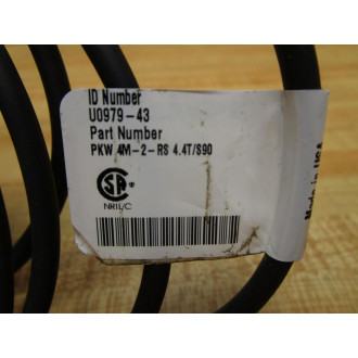 Turck RKW 4M-2-RS 4.4TS90 Cordset U0979-43 - Used