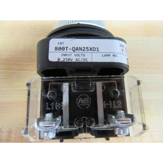 Allen Bradley 800T-QAN25XD1 Push Button Switch