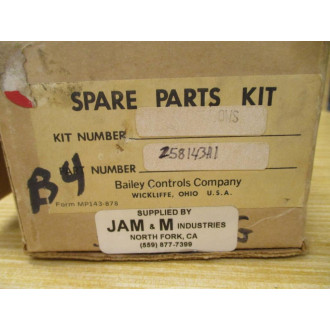 Bailey Controls 258143A1 Spare Parts Kit WO Set Screw