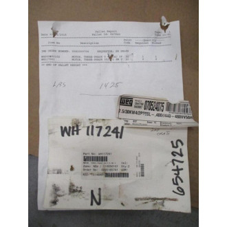 WEG WH117241 Motor 070524075