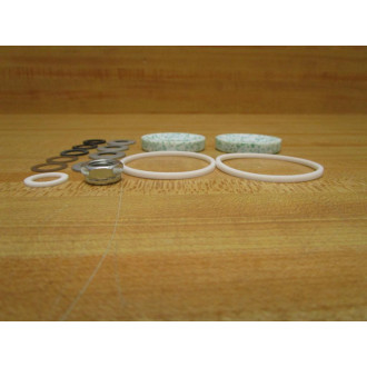 Worcester Controls 1-14 RK44 RT 1 14" Repair Kit RK44RTR16