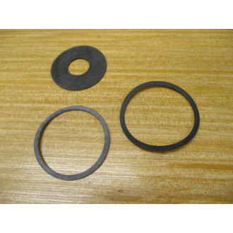 Watts EKF20AP Filter Element Kit