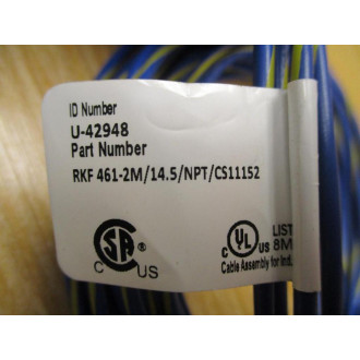 Turck RKF 461-2M14.5NPTCS11152 MiniFast Receptacle U-42948 - New No Box