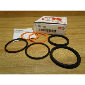 Schrader Bellows A63212507 Piston Seal Kit