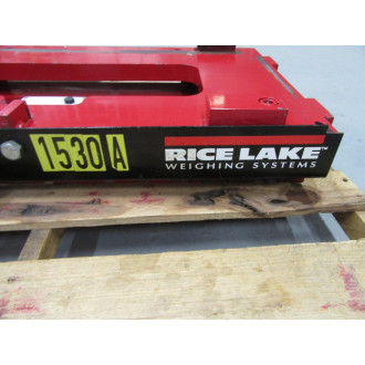 Rice Lake CLS Weighing System - Used